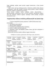 Produkto gaminio veiklos organizavimas 14 puslapis