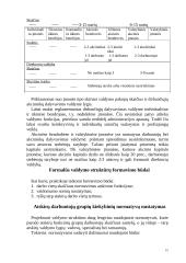 Produkto gaminio veiklos organizavimas 15 puslapis