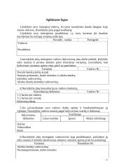 Produkto gaminio veiklos organizavimas 19 puslapis