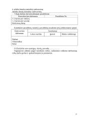 Produkto gaminio veiklos organizavimas 20 puslapis