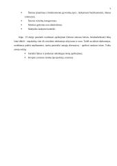 Prostitucijos problema kaime 5 puslapis