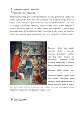 Renesanso menai 2 puslapis