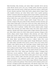 "Natura" 2000 tikslai ir svarba Europos Sąjungos (ES) saugomų teritorijų sistemoje 6 puslapis