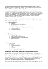 Pagrindinės savižudybės temos 3 puslapis