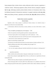 Šalutiniai sakiniai A. Tatarės “Pamoksluose išminties ir teisybės” bei J. Dovydaičio apysakoje “Šiaulėniškis senelis”  6 puslapis