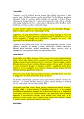 Žmogaus psichikos teorija 19 puslapis