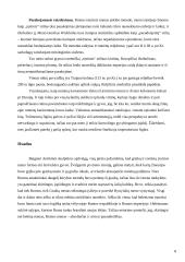 Antikos skulptūra: idėjų tęstinumas ir naujovės 8 puslapis