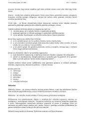 Verslininko, verslumo bei verslo samprata 3 puslapis