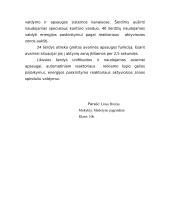 Ignalinos AE veikla 4 puslapis