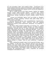 Senoji lietuvių mitologija 2 puslapis