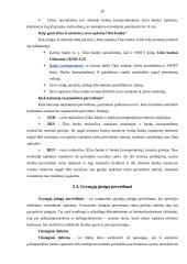 Banko pristatymas: Ūkio bankas 20 puslapis