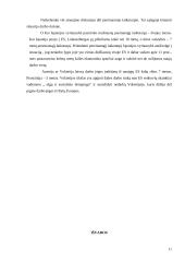 Bendradarbiavimas teisingumo ir vidaus reikalų srityje 11 puslapis