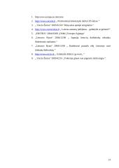 Bendradarbiavimas teisingumo ir vidaus reikalų srityje 13 puslapis