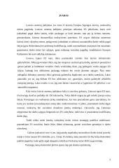 Bendradarbiavimas teisingumo ir vidaus reikalų srityje 3 puslapis