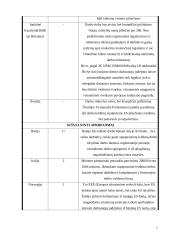 Bendradarbiavimas teisingumo ir vidaus reikalų srityje 7 puslapis