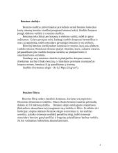 Benzino įpurškimo sistemos K-Jetronic veikimo principas 4 puslapis