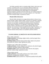 Benzino įpurškimo sistemos K-Jetronic veikimo principas 9 puslapis