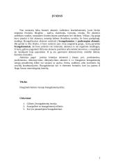 Brangakmeniai ir jų istorija 2 puslapis