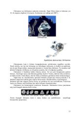 Brangakmeniai ir jų istorija 12 puslapis