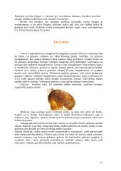 Brangakmeniai ir jų istorija 14 puslapis