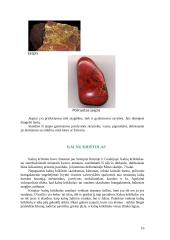 Brangakmeniai ir jų istorija 16 puslapis