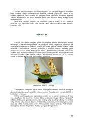 Brangakmeniai ir jų istorija 19 puslapis