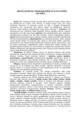 Brangakmeniai ir jų istorija 3 puslapis