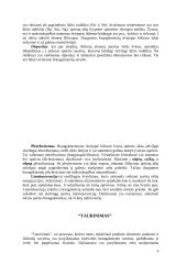 Brangakmeniai ir jų istorija 6 puslapis