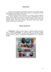 Brangakmeniai ir jų istorija 10 puslapis