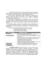 Reklaminė kampanija ir jos organizavimas 5 puslapis