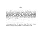 Charizmatinis lyderis 2 puslapis