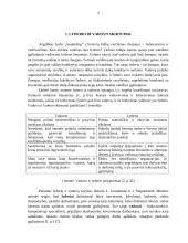 Charizmatinis lyderis 3 puslapis