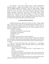 Charizmatinis lyderis 4 puslapis