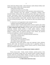 Charizmatinis lyderis 6 puslapis