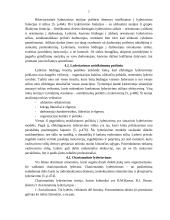 Charizmatinis lyderis 7 puslapis