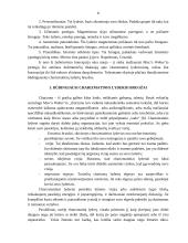 Charizmatinis lyderis 8 puslapis