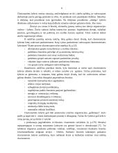 Charizmatinis lyderis 9 puslapis