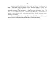 Charizmatinis lyderis 10 puslapis