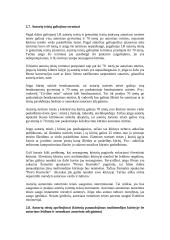 Autorių teisės ir gretutinės teisės elektroninėje leidyboje 11 puslapis