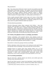Autorių teisės ir gretutinės teisės elektroninėje leidyboje 14 puslapis