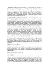 Autorių teisės ir gretutinės teisės elektroninėje leidyboje 16 puslapis