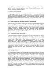 Autorių teisės ir gretutinės teisės elektroninėje leidyboje 17 puslapis
