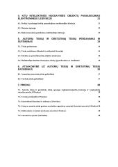 Autorių teisės ir gretutinės teisės elektroninėje leidyboje 3 puslapis