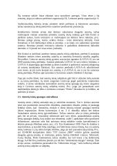 Autorių teisės ir gretutinės teisės elektroninėje leidyboje 8 puslapis