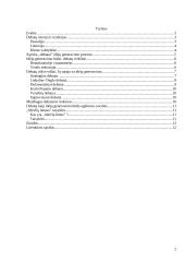 Debatai kaip naujų idėjų generavimo būdas 2 puslapis