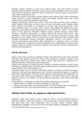 Debatai kaip naujų idėjų generavimo būdas 7 puslapis