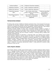 Debatai kaip naujų idėjų generavimo būdas 10 puslapis
