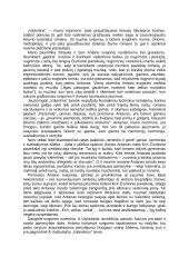 "Valentinos" analizė