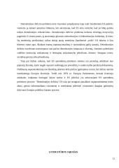Demokratijos deficito problema Europos Sąjungos (ES) institucijose 12 puslapis
