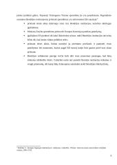 Demokratijos deficito problema Europos Sąjungos (ES) institucijose 6 puslapis